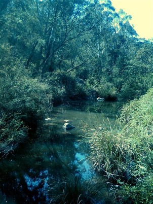 Bindo Creek