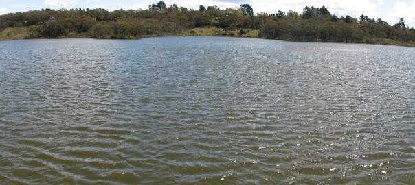 Photo: Wentworth Falls Lake © Tim Williams